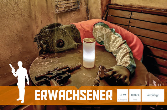 Eintrittskarte Erwachsener ermäßigt