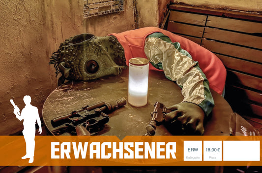 Eintrittskarte Erwachsener